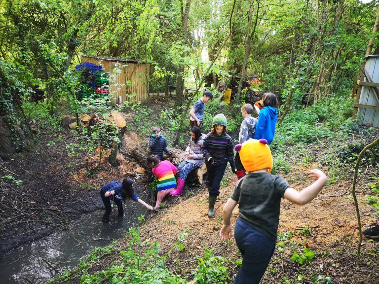 group of 10 children playing in a stream in the woods