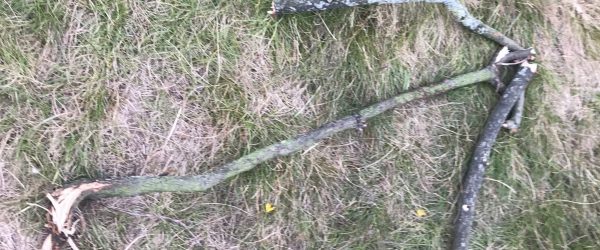 arrow made of sticks