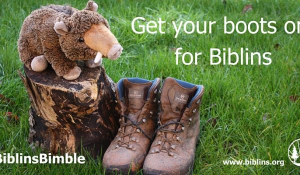 https---cdn.evbuc.com-images-126975303-441734648-1-original.20210223-161308