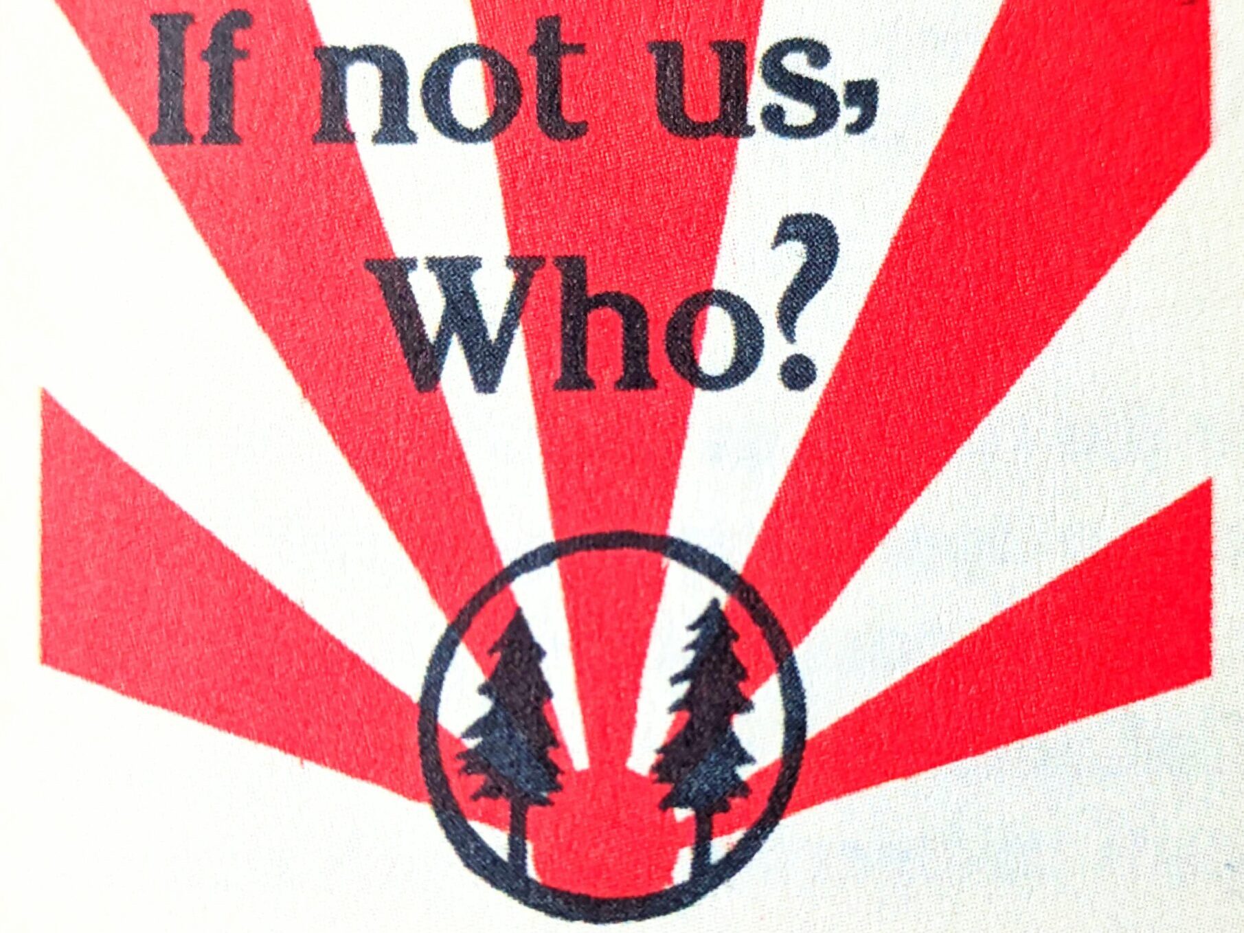 If not us, Who, If not now, when? Woodcraft Folk Poster, Woodcraft Spanning the World with Friendship