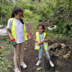 Screenshot 2023-09-19 112653