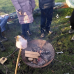 Screenshot-2024-01-25-130254